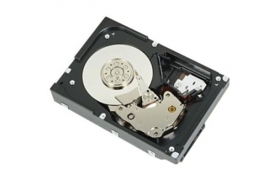 DELL 400-AUPW internal hard drive 3.5" 1 TB Serial ATA III