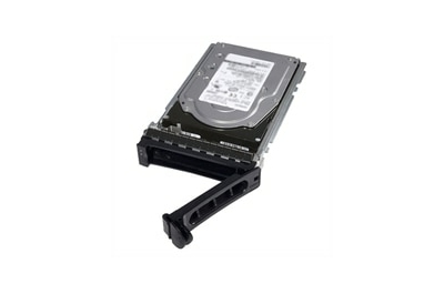 DELL 400-AURS interne harde schijf 3.5" 1 TB SATA III