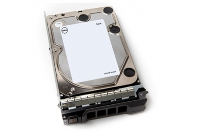 DELL 400-AUWK interne harde schijf 3.5" 12 TB SATA III