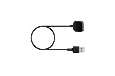 Fitbit FB174RCC accessoire intelligent à porter sur soi Câble de chargement Noir