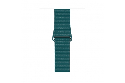 Apple MXPM2ZM/A smart wearable accessory Band Green Leather